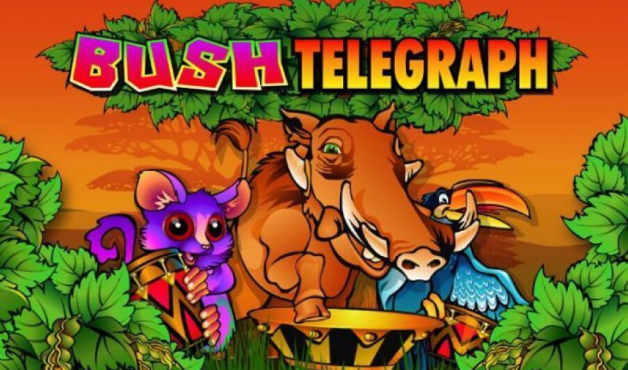 Bush Telegraph 